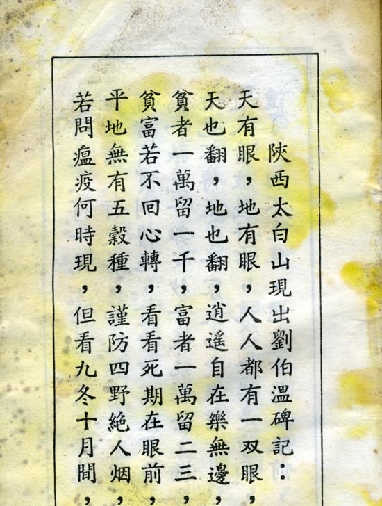 揭秘劉伯溫正版四不像的魅力，生肖運勢一網(wǎng)打盡，劉伯溫正版四不像揭秘與生肖運勢大全