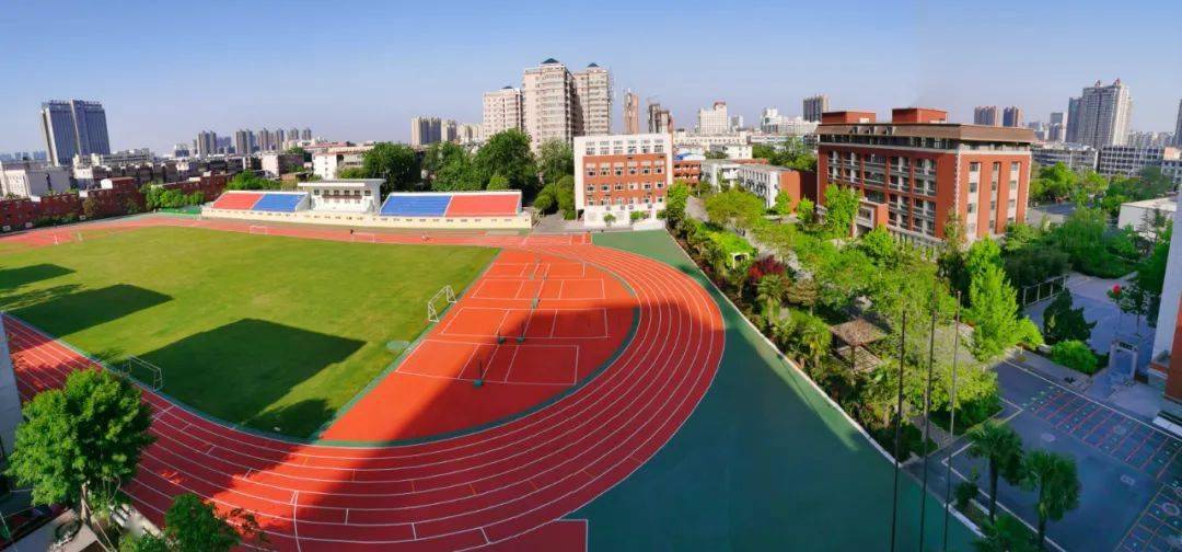 揭秘平特一肖大公開背后的秘密，探尋王中王的傳奇之路，揭秘平特一肖大公開內(nèi)幕，探尋王中王的傳奇之路