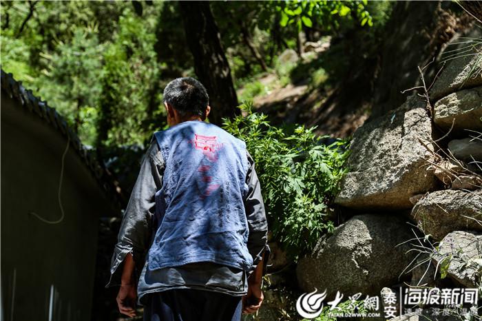 泰山住宿山頂價(jià)格表——一覽眾山小的全方位指南，泰山住宿山頂價(jià)格表與全方位指南，一覽眾山小的體驗(yàn)