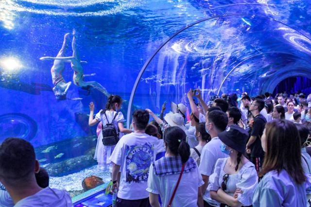 武漢海昌極地海洋世界游玩攻略，武漢海昌極地海洋世界游玩指南