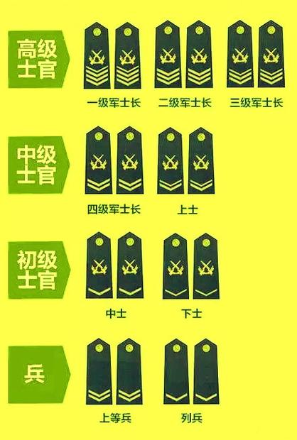 軍士長(zhǎng)待遇，深入了解與探討，軍士長(zhǎng)待遇，全面深入解析與探討