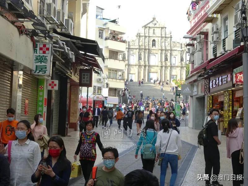 新澳門彩出號綜合走勢近50期，深度分析與預(yù)測，澳門彩未來走勢深度分析，近50期綜合走勢與預(yù)測報告