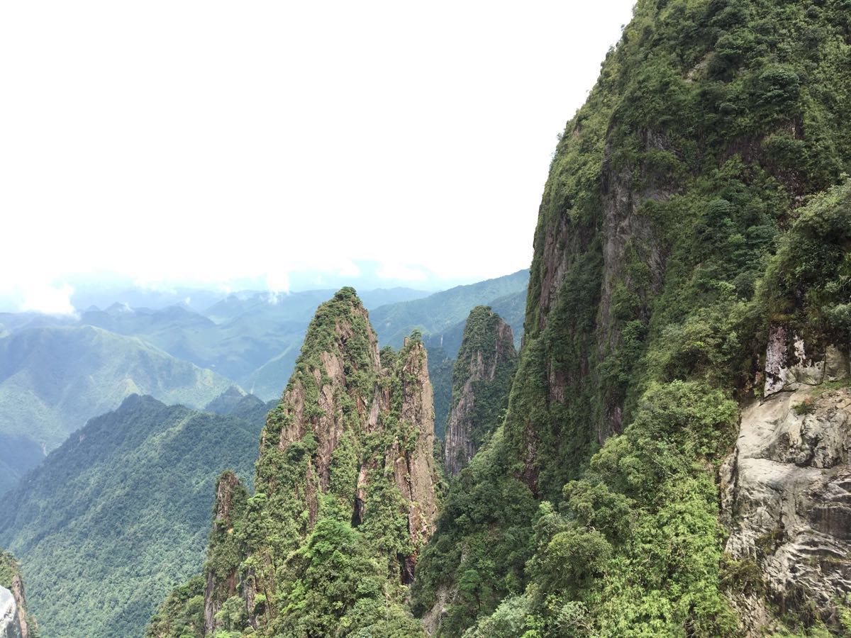 莽山國家森林公園門票概覽，探索自然之美的通行證，莽山國家森林公園門票概覽，探索自然美景的通行證