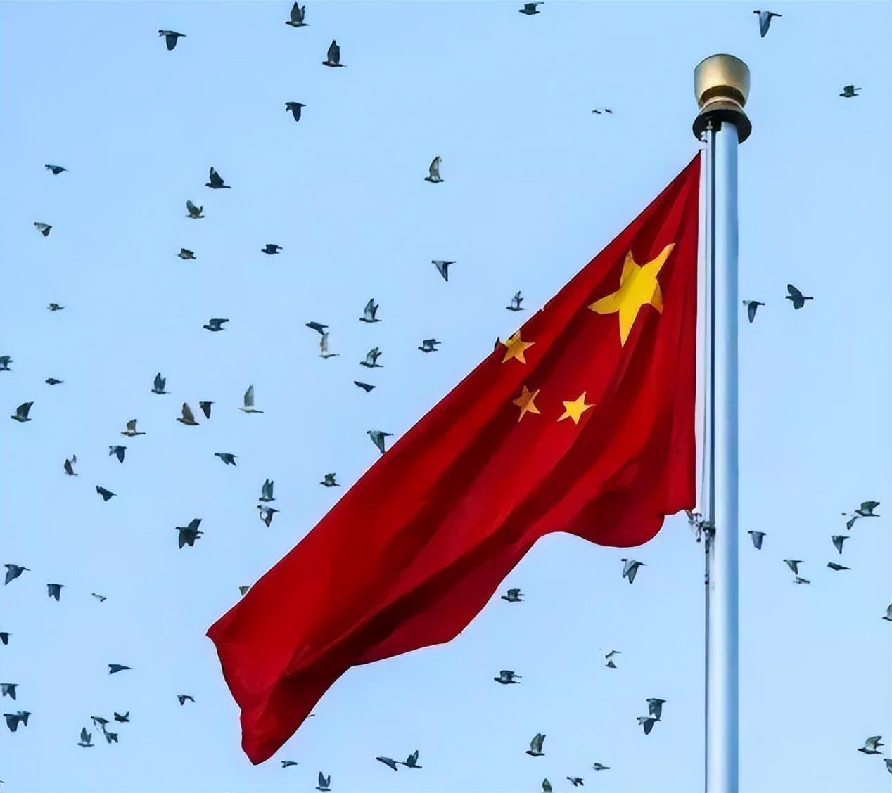 臺灣5月23日軍事新聞最新消息今天，深度解析與前瞻，臺灣軍事新聞最新動態(tài)，深度解析與前瞻（5月23日更新）