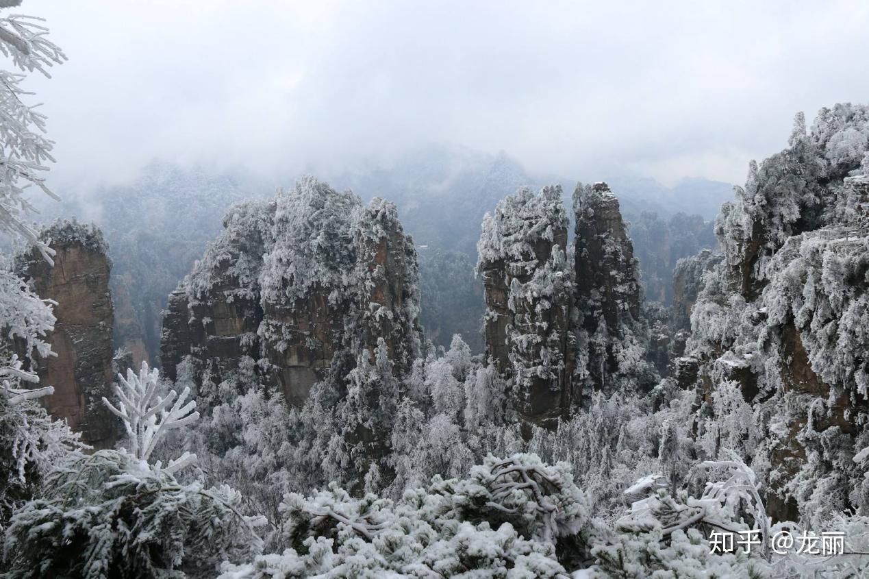 冬天能去張家界旅游嗎？——探秘冬季張家界的別樣風情，冬季張家界旅游指南，探秘別樣風情之旅