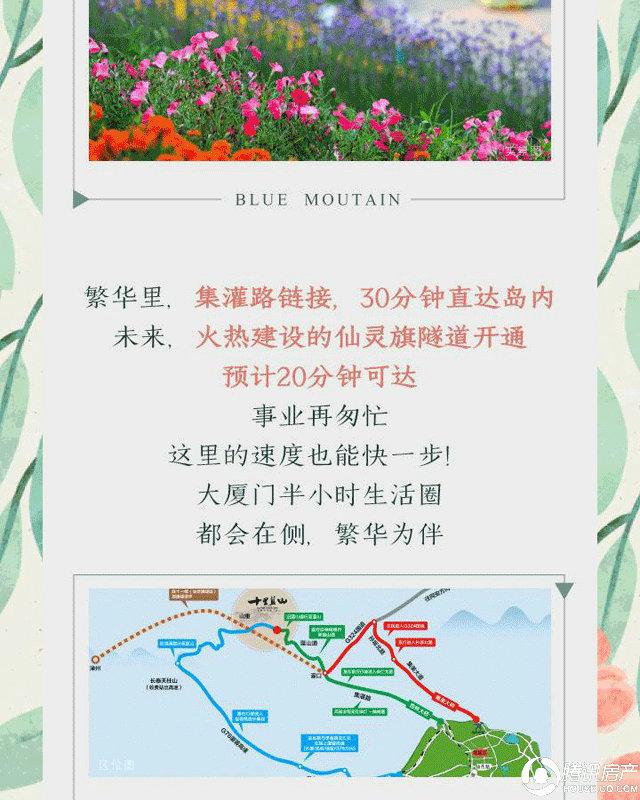 廈門(mén)十里藍(lán)山一日游，探索自然之美，廈門(mén)十里藍(lán)山一日游，探尋自然魅力的絕佳之旅