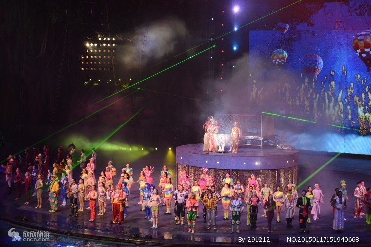 長(zhǎng)隆大馬戲，璀璨的馬戲盛宴，長(zhǎng)隆大馬戲，璀璨盛宴，震撼心靈！