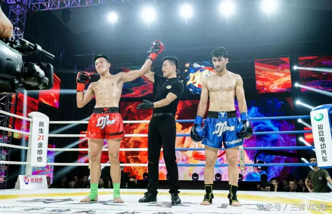 最新一期王中王一肖中特資料解析與SEO優(yōu)化策略，王中王一肖中特資料解析與SEO優(yōu)化策略揭秘