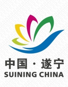 王中王遂寧平臺(tái)一肖中特，深度解析與SEO優(yōu)化策略，王中王遂寧平臺(tái)一肖中特深度解析與SEO優(yōu)化策略探討