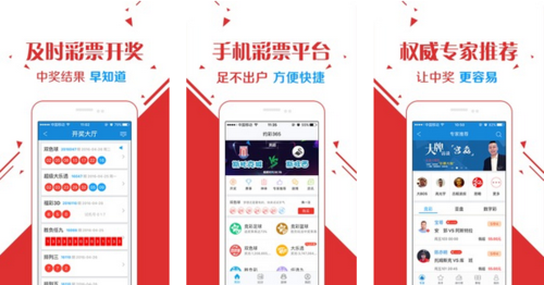 王中王玄機(jī)一肖資料解析與SEO優(yōu)化策略探討，王中王玄機(jī)生肖資料解析與SEO策略深度探討