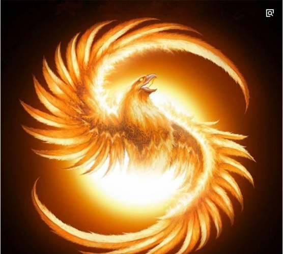 揭秘最準(zhǔn)一碼一肖，鳳凰網(wǎng)獨(dú)家解析，獨(dú)家揭秘，最準(zhǔn)一碼一肖預(yù)測(cè)解析（鳳凰網(wǎng)版）