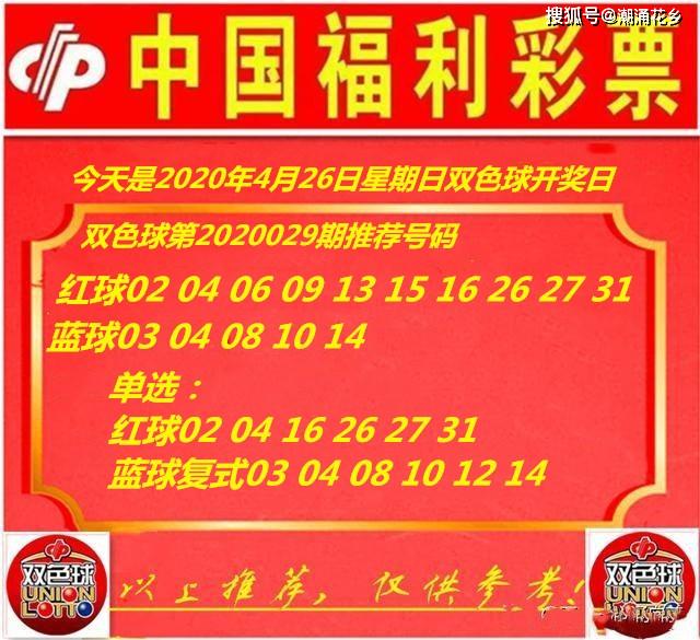 王中王029期指一生肖——深度解讀與SEO優(yōu)化策略，王中王029期生肖深度解讀與SEO策略優(yōu)化探討