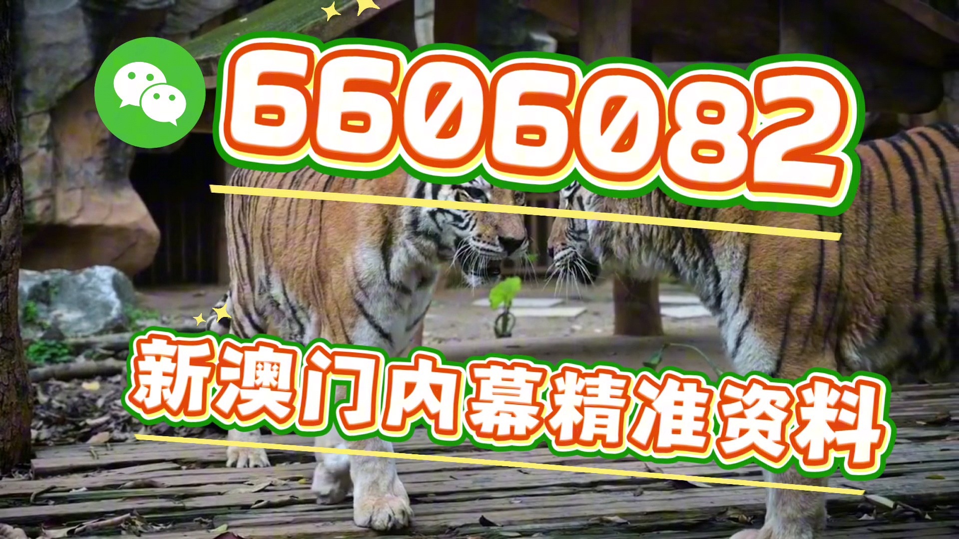 澳門(mén)精準(zhǔn)四肖期期準(zhǔn)免費(fèi)——揭秘預(yù)測(cè)玄機(jī)，澳門(mén)精準(zhǔn)四肖期期準(zhǔn)免費(fèi)預(yù)測(cè)揭秘，期期準(zhǔn)確的預(yù)測(cè)玄機(jī)探索