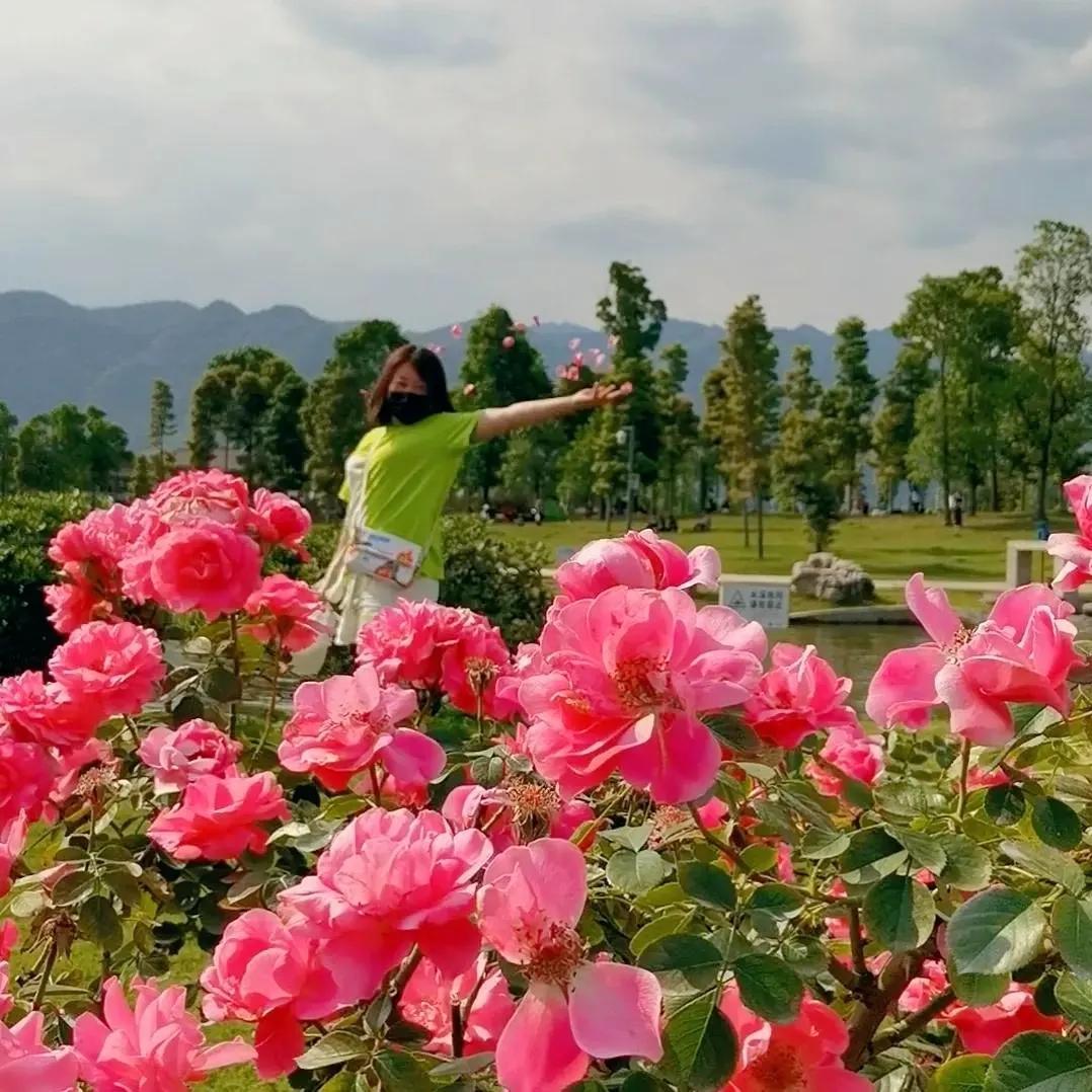 成都一日游最佳地方，探尋魅力之都的精華景點(diǎn)，成都一日游必游景點(diǎn)，魅力之都精華景點(diǎn)探尋