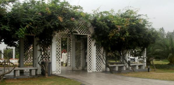 黃山住宿攻略，打造完美旅行體驗(yàn)，黃山住宿攻略，打造完美旅行住宿體驗(yàn)