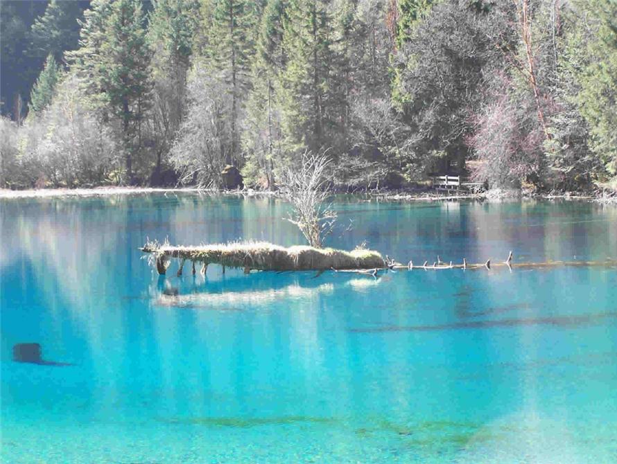 九寨溝附近好玩的地方，探索神秘的自然奇觀與人文景觀，九寨溝周邊探秘，自然與人文的奇觀之旅