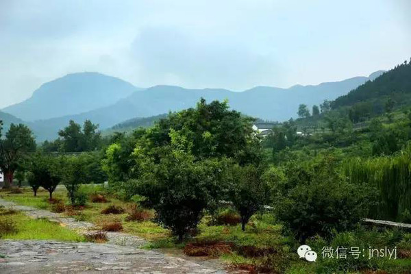 濟(jì)南南部山區(qū)一日游，探秘自然之美，濟(jì)南南部山區(qū)一日游，探尋自然奧秘之旅