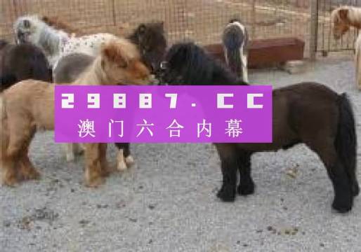 王中王馬會(huì)平特一肖論壇——深度探討與解析，王中王馬會(huì)平特一肖論壇深度解析研討會(huì)