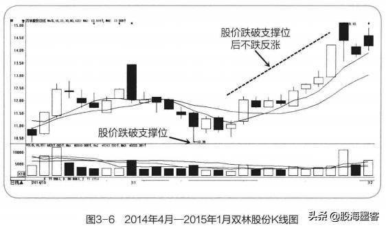雙林股份股票，深度解析與前景展望，雙林股份股票深度解析與未來前景展望