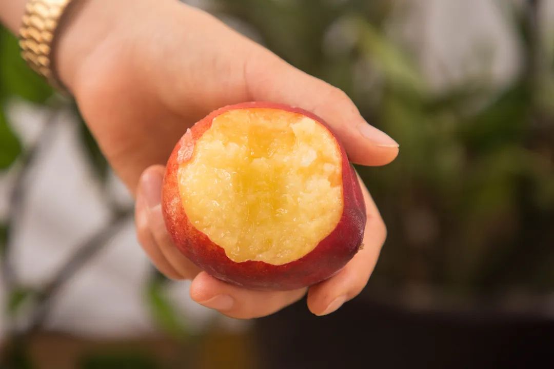 探索水蜜桃的秘密，黏黏的內(nèi)心世界，水蜜桃的黏黏內(nèi)心世界探索