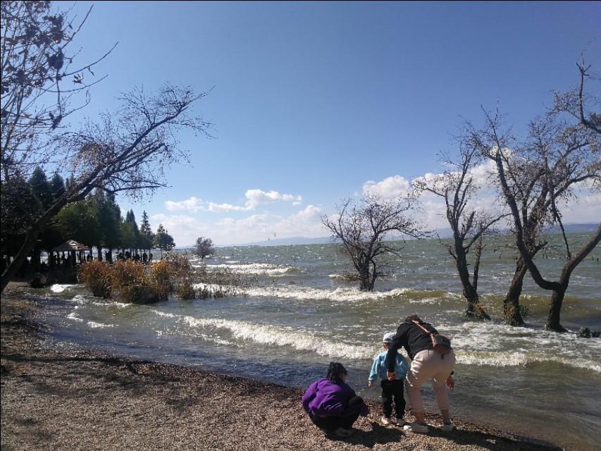 昆明最值得一去的地方，探尋云南的魅力之都，昆明探尋之旅，揭秘云南魅力之都的必游之地