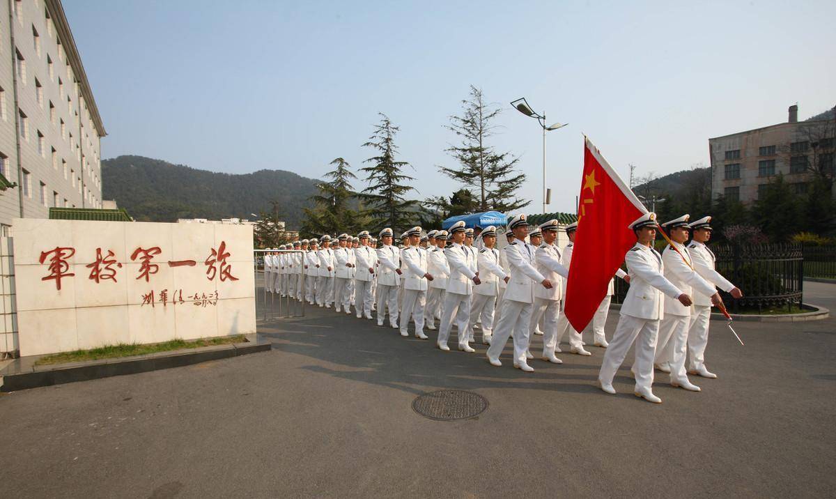 探索軍校，培養(yǎng)精英的搖籃，軍校，精英搖籃的深度探索