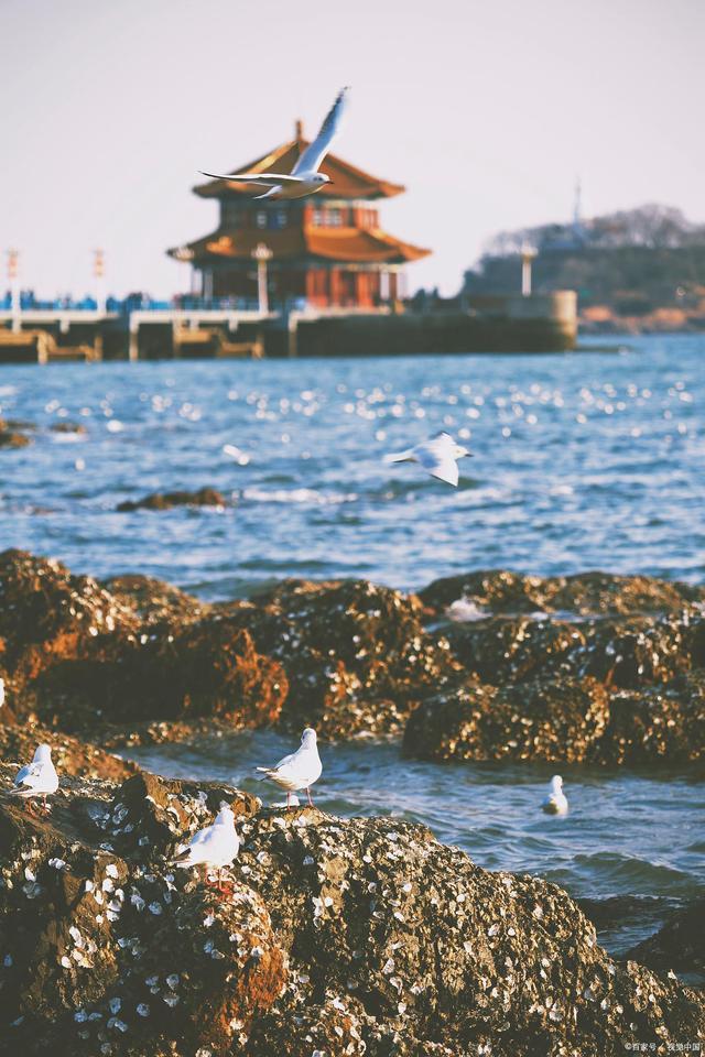 免費旅游，探索無限美景，盡享人生樂趣，免費旅游，探索美景，盡享人生樂趣