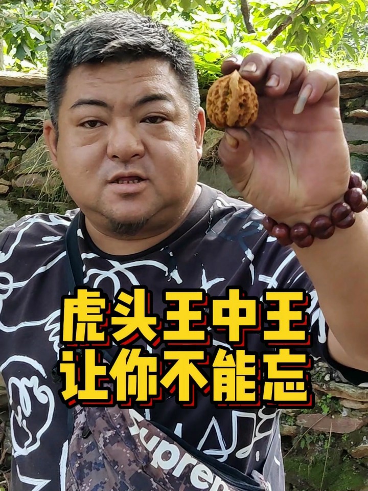 虎頭王中王打一生肖——揭秘背后的神秘生肖傳奇，揭秘虎頭王中王背后的神秘生肖傳奇