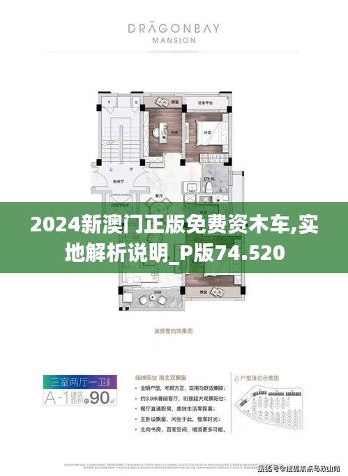 探索澳門，2025新澳門正版免費資源的新篇章，澳門新篇章，探索2025正版免費資源之旅