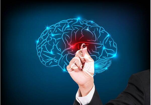 腦梗，了解、預(yù)防與治療，腦梗，全面解析、預(yù)防與治療方法