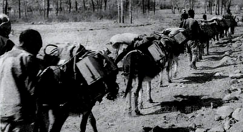 關(guān)于彩票賠率的解析，兩肖賠多少？，彩票賠率解析，兩肖賠多少揭秘？