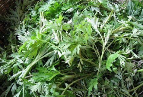 降黃疸最有效的方法，全面解析黃疸成因與有效治療策略，全面解析黃疸成因與有效治療策略，降黃疸最有效的方法介紹