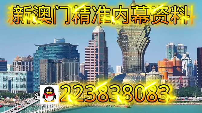 新澳門(mén)網(wǎng)站最新信息2025概覽與SEO優(yōu)化策略探討，澳門(mén)網(wǎng)站最新信息概覽與SEO優(yōu)化策略探討（2025年）