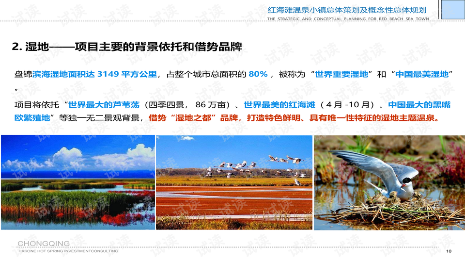 大地資源中文一二三頁的特點，深度解析與SEO優(yōu)化策略，大地資源中文一二三頁特點深度解析與SEO優(yōu)化策略探討