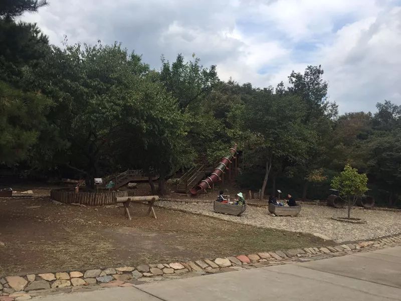 探索附近公園，離我最近的最美免費(fèi)景點(diǎn)，探索附近公園，免費(fèi)美景近在咫尺