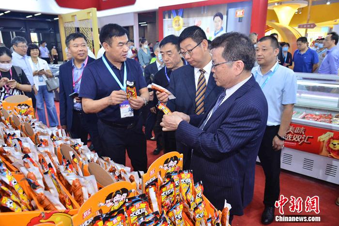 四肖一碼王中王2020，揭秘生肖運勢與幸運密碼的奧秘，揭秘生肖運勢奧秘，四肖一碼王中王2020幸運密碼解讀