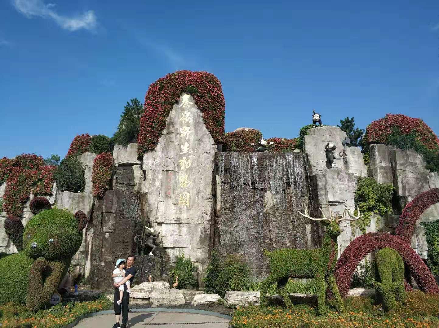 中國十大野生動物園排名，探尋最佳野生動物園之旅，中國十大野生動物園排名揭秘，探尋最佳野生動物園之旅