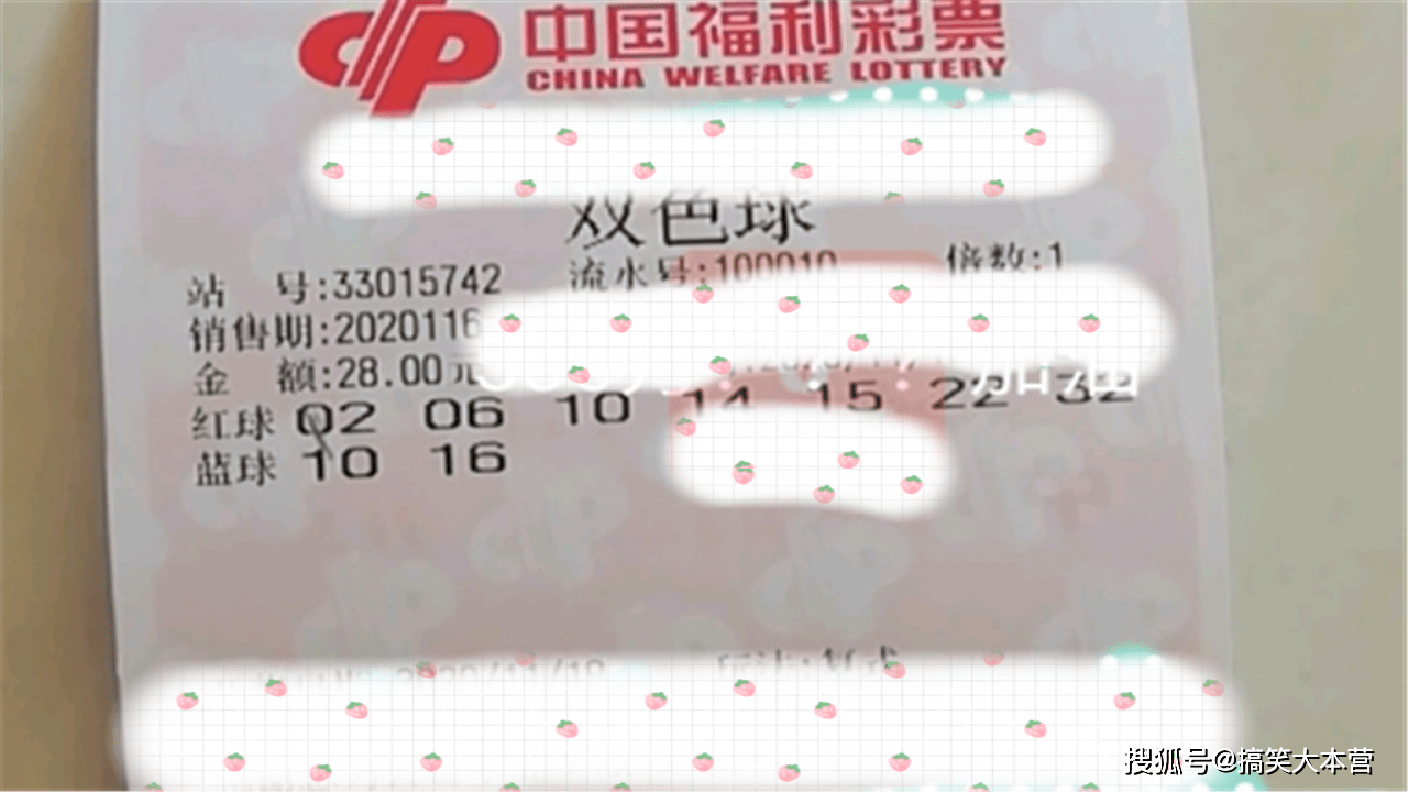 澳門六開獎結(jié)果第116期深度解析與預(yù)測，澳門六開獎結(jié)果第116期解析與預(yù)測報告