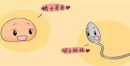 珠海男科醫(yī)院的專業(yè)服務(wù)與全方位關(guān)懷，珠海男科醫(yī)院，專業(yè)服務(wù)與全方位關(guān)懷體驗(yàn)