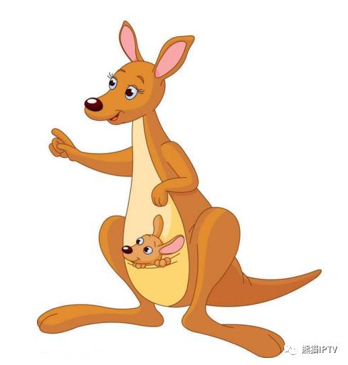 揭秘最準(zhǔn)一肖一碼一一中一特袋鼠媽媽，揭秘袋鼠媽媽精準(zhǔn)預(yù)測一肖一碼一中一特