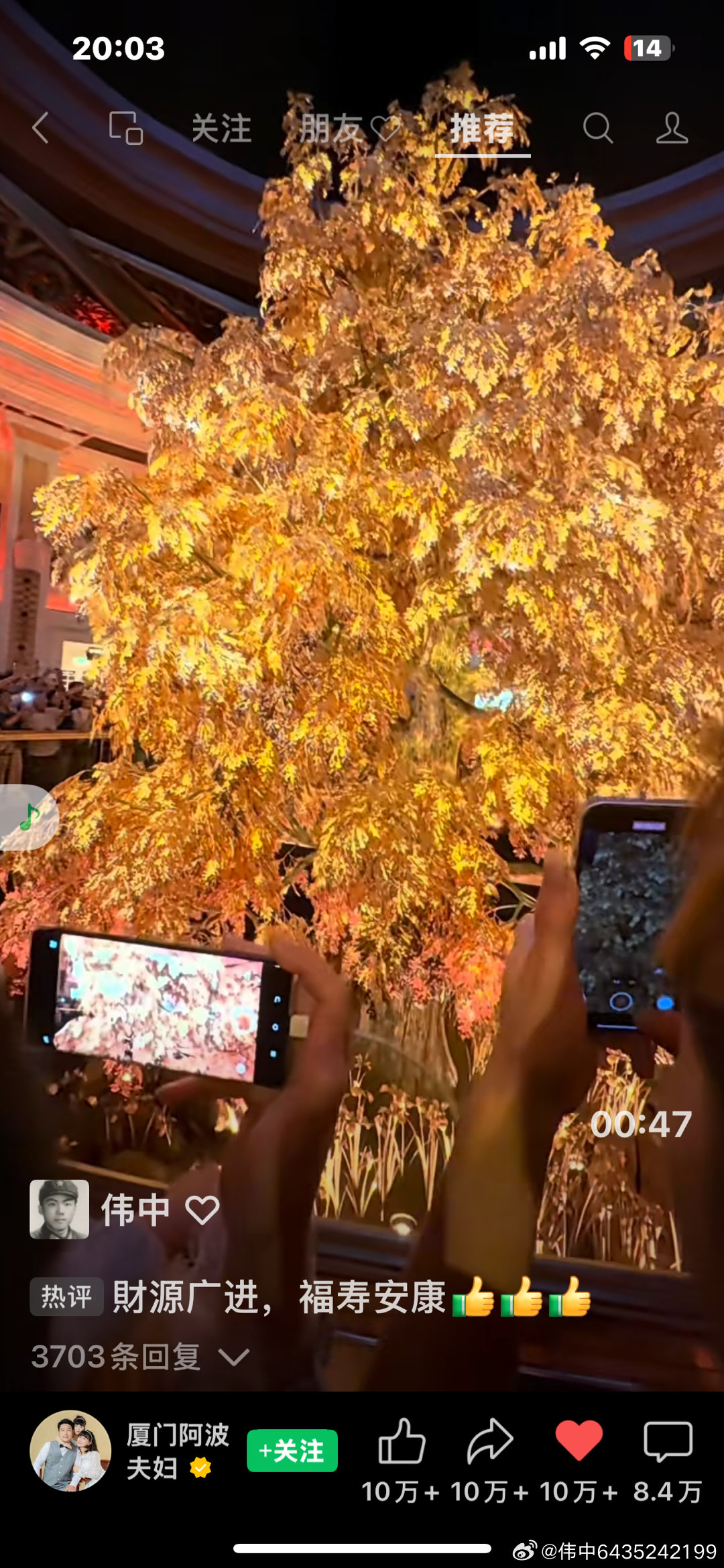 澳門搖錢樹開獎(jiǎng)最快——探索彩票世界的速度與機(jī)遇，澳門搖錢樹快速開獎(jiǎng)，彩票世界的速度與機(jī)遇探索