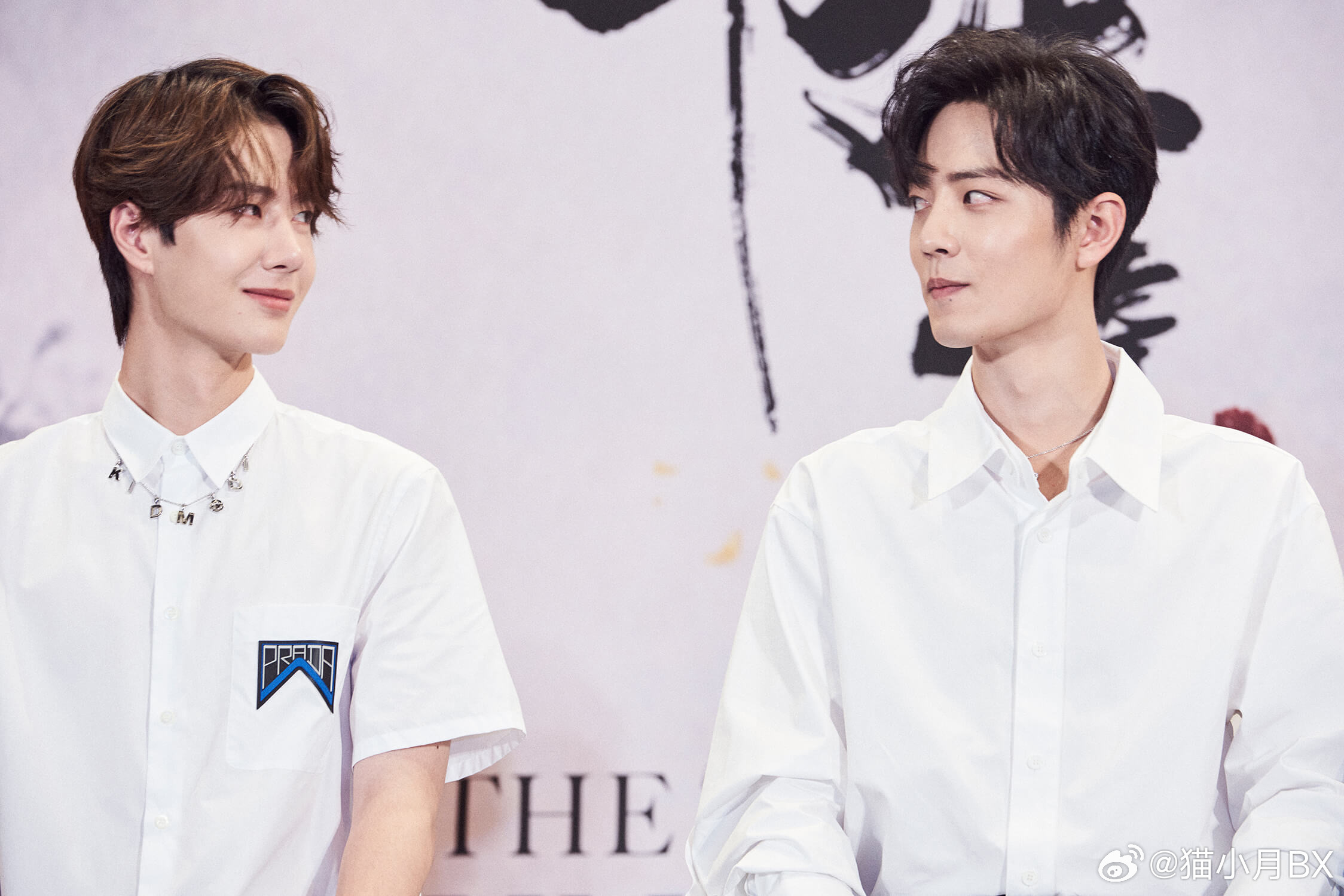 白小姐、王中王與肖中的神秘關(guān)聯(lián)，深度解讀背后的故事，白小姐、王中王與肖中的神秘聯(lián)系，深度解讀背后的故事揭秘