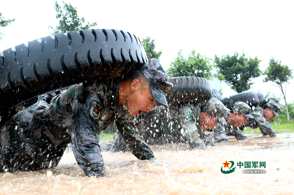 西陸軍網(wǎng)，探索軍事資訊的寶庫，西陸軍網(wǎng)，軍事資訊寶庫探索