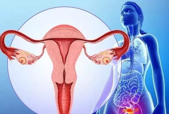 關(guān)于婦科疾病，了解、預(yù)防與治療的重要性，婦科疾病，了解、預(yù)防與治療的重要性全解析