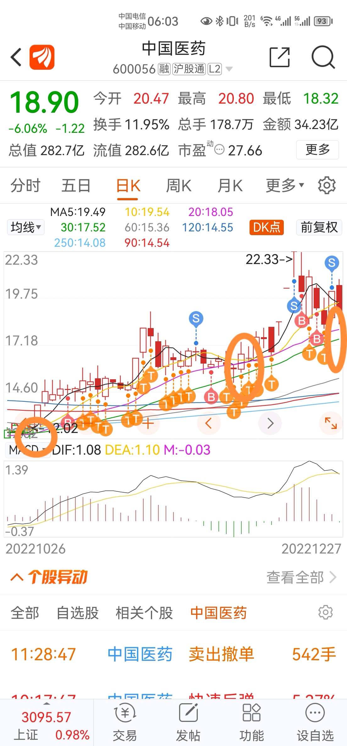 中國醫(yī)藥集團的股票投資前景深度解析，中國醫(yī)藥集團股票投資前景深度剖析