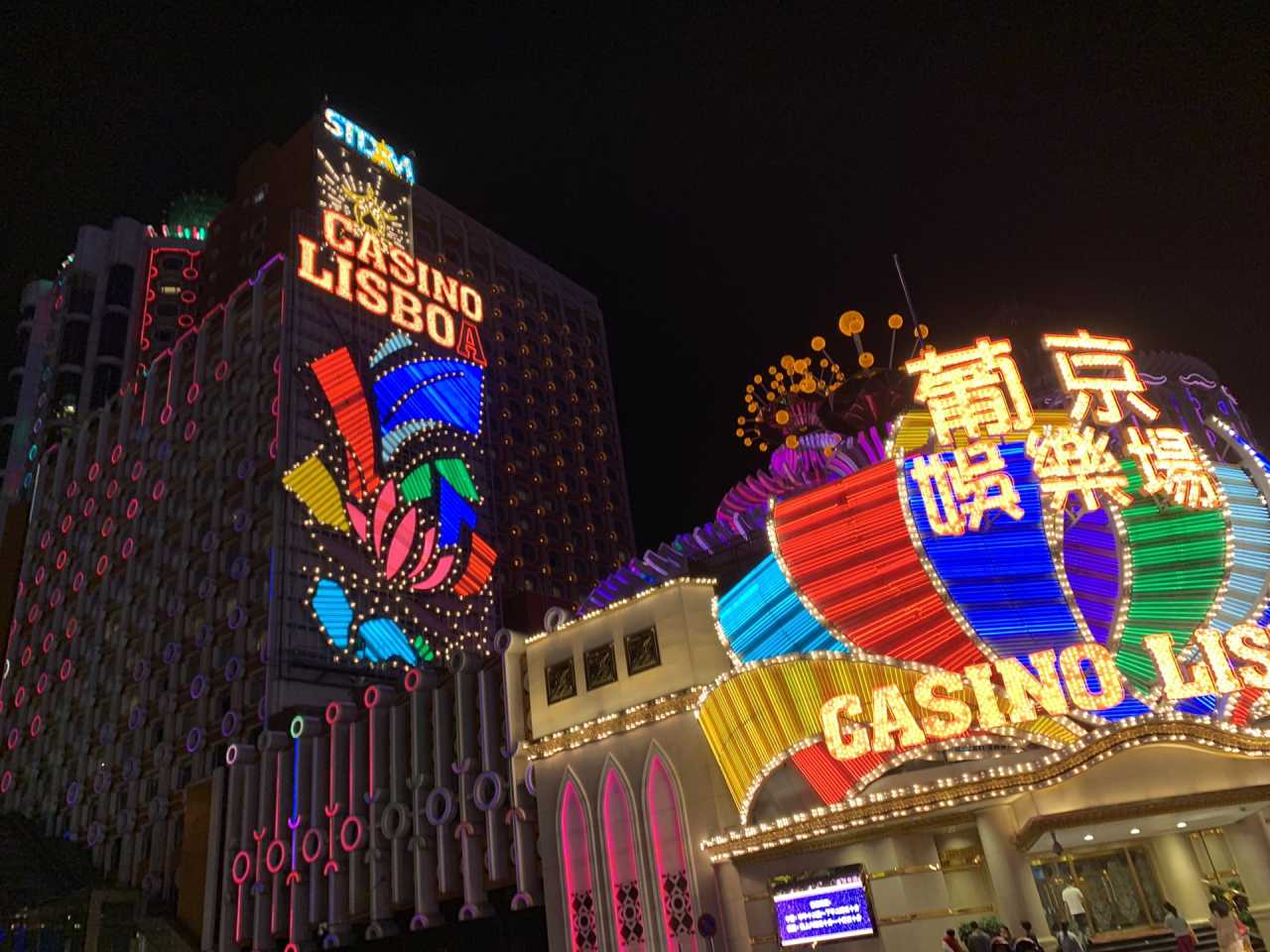 葡京王中王，一肖中特——揭秘彩票背后的秘密與策略，揭秘彩票背后的秘密與策略，葡京王中王一肖中特之奧秘解析