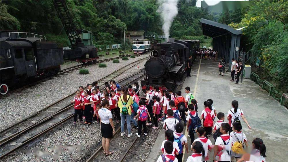 好料盡在王中王——揭秘生肖運勢背后的秘密，揭秘生肖運勢背后的秘密，王中王品質(zhì)之選