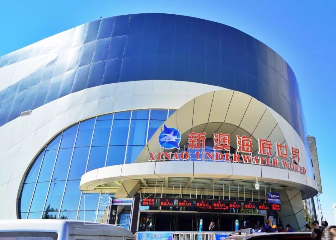 新澳今晚9點(diǎn)30分的精彩瞬間與背后故事，新澳之夜，9點(diǎn)30分的精彩瞬間與幕后故事