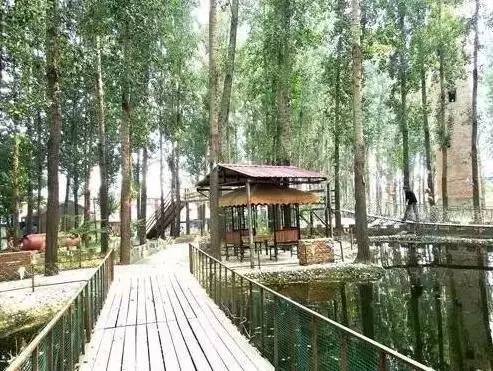 昌平溫泉小院，百元享受，溫泉養(yǎng)生新體驗(yàn)，昌平溫泉小院，百元養(yǎng)生新體驗(yàn)，盡享溫泉樂趣