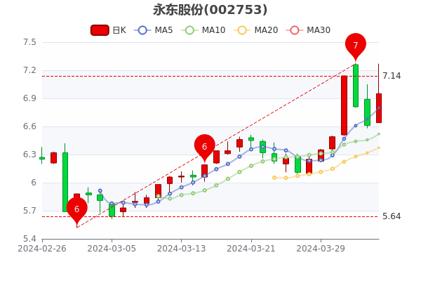 永東股份，引領(lǐng)行業(yè)前沿，塑造卓越企業(yè)，永東股份，行業(yè)先鋒，卓越企業(yè)塑造者